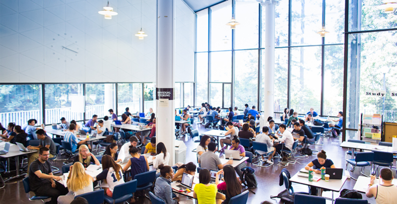 UC Berkeley Summer Camp Летний лагерь Университет Беркли - США, Беркли ...