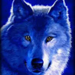 Зображення користувача Миша Гвоздик.